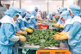 越南农产品迎来新机遇