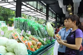 2019年8月份越南蔬果出口额达2.46亿美元