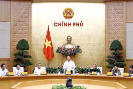 阮春福总理：处罚成本高，但仍不足以引以为戒