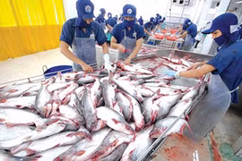 越南承天顺化省着力有效落实出口扶持政策