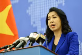 越南外交部发言人：越南海上职能力量开展符合法律规定的措施