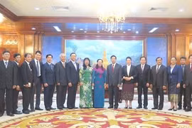 胡志明市高级代表团访问老挝
