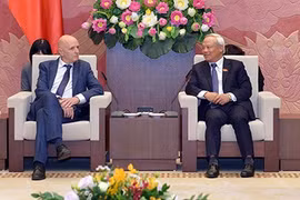 越南国会副主席汪周刘会见比利时-越南友好议员小组代表团