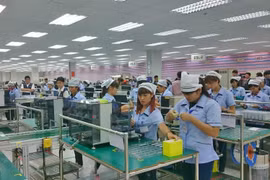 2019年前9月永福省新成立企业同比增长95%