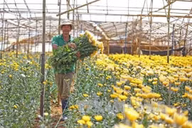 林同省区域建设规划获批