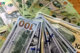 10月25日越盾对美元汇率中间价保持不变