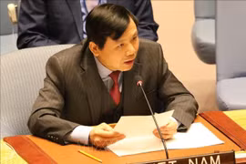 越南为担任联合国安理会非常任理事国职务做好准备