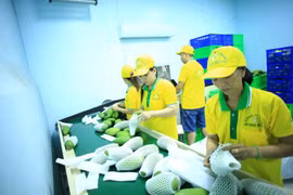 越南VinaT&T公司对美国出口71吨芒果