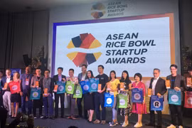 越南12名创业者将参加东盟Rice Bowl创业奖总决赛