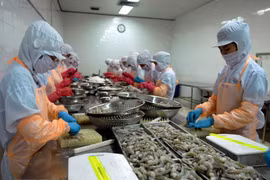 充分利用CPTPP加大虾类产品对加拿大出口力度 