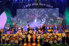 2019年奠边省羊蹄甲花节精彩开幕
