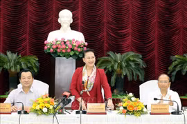 越南国会主席阮氏金银赴平顺省调研