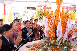 胡志明市领导向胡志明市总领事馆致以新年祝福
