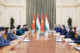 越南国家副主席邓氏玉盛同多国领导举行双边会晤