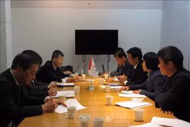 日本愿为越南在自然灾害防治领域提供支持