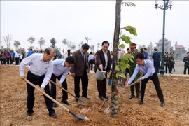 富寿和宁平等省举行植树活动启动仪式