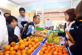 日本企业寻找对越南农产品投资合作商机