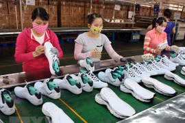 南非是越南在非洲地区的最大贸易伙伴