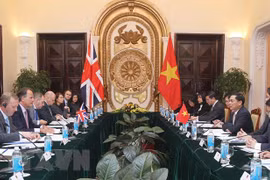越英外交副部长级政治磋商会在河内举行