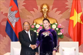 越南国会主席阮氏金银与柬埔寨国会主席韩桑林举行会谈