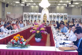 广南省和意大利紧密配合努力做好大湄公河次区域遗产保护修缮工作