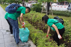 参加环境美化净化活动 提高对环保的意思