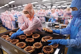 越南以色列自贸协定：开拓越南商品市场的机会 