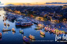 越南旅游——肯定吸引力，期待新的反弹