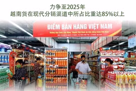 图表新闻：越南力争至2025年国货在现代分销渠道中所占比重达85%以上