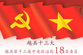 图表新闻：越共第十三届中央政治局委员名单