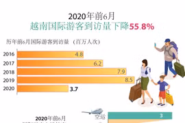 图表新闻：2020年前6月，越南接待国际游客量下降55.8%