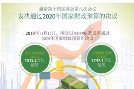 图表新闻：会议通过关于2020年国家财政预算的决议