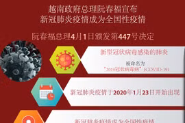 图表新闻：阮春福总理宣布新冠肺炎疫情成为全国性疫情