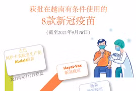 图表新闻：越南卫生部有条件批准第8款新冠疫苗 