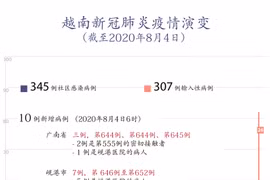 图表新闻：越南新增10例新冠肺炎确诊病例 均与岘港医院有关