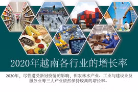 图表新闻：2020年越南各行业保持较高的增长率