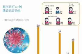 图表新闻：越南共有177例确诊患者治愈
