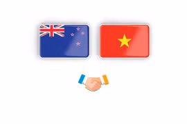 图表新闻：越南-新西兰战略伙伴关系