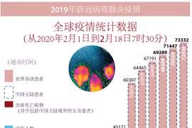 图表新闻：新冠肺炎疫情：全球确诊病例共73332 例