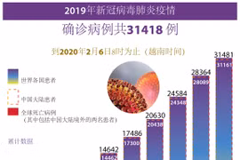 图表新闻：2019年新冠病毒肺炎疫情 确诊病例共31418例