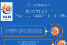 图表新闻：越南致力于建设一个“齐心协力、主动适应”的东盟共同体