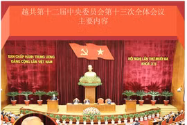 图表新闻：越共第十二届中央委员会第十三次全体会议主要内容