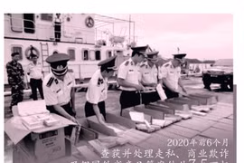图表新闻：越南严厉打击贸易欺诈与商品走私