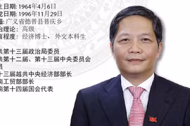 图表新闻：越共中央政治局委员陈俊英同志任中央经济部部长