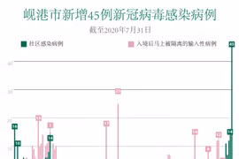 图表新闻：新冠肺炎疫情：岘港市新增45例社区感染病例