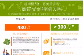 图表新闻：越南橙剂受害者始终受到党和国家的特别关照