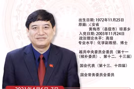 图表新闻：阮得荣被任命为国会文化、教育、青少年与儿童委员会主任