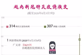 图表新闻：截至2020年8月3日7时越南累计新冠确诊病例621例