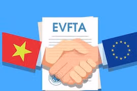 越南国会将在第九次会议投票批准EVFTA协定