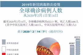 图表新闻：2019年新冠病毒肺炎疫情：中国大陆境外死亡人数3人